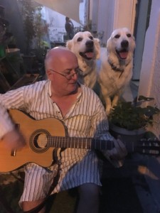 dog dad chorus